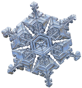 snowflake 19 lis